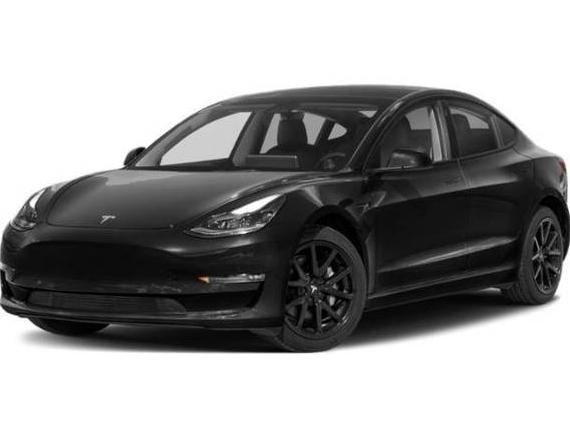 TESLA MODEL 3 2023 5YJ3E1EC3PF559089 image